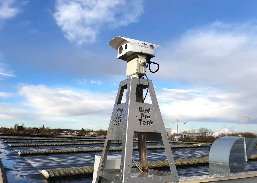 Protect building against pest birds