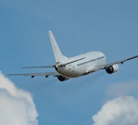 Bird control solution for airport