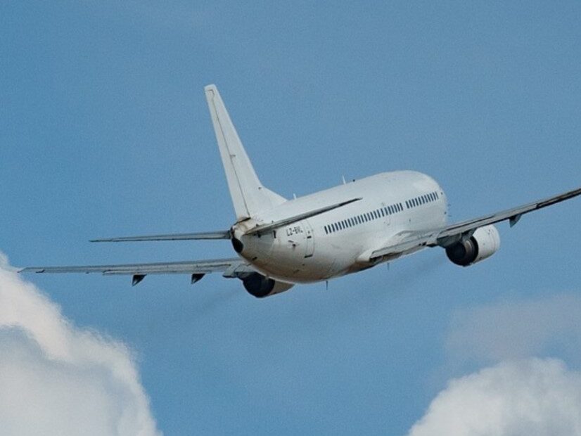 Bird control solution for airport